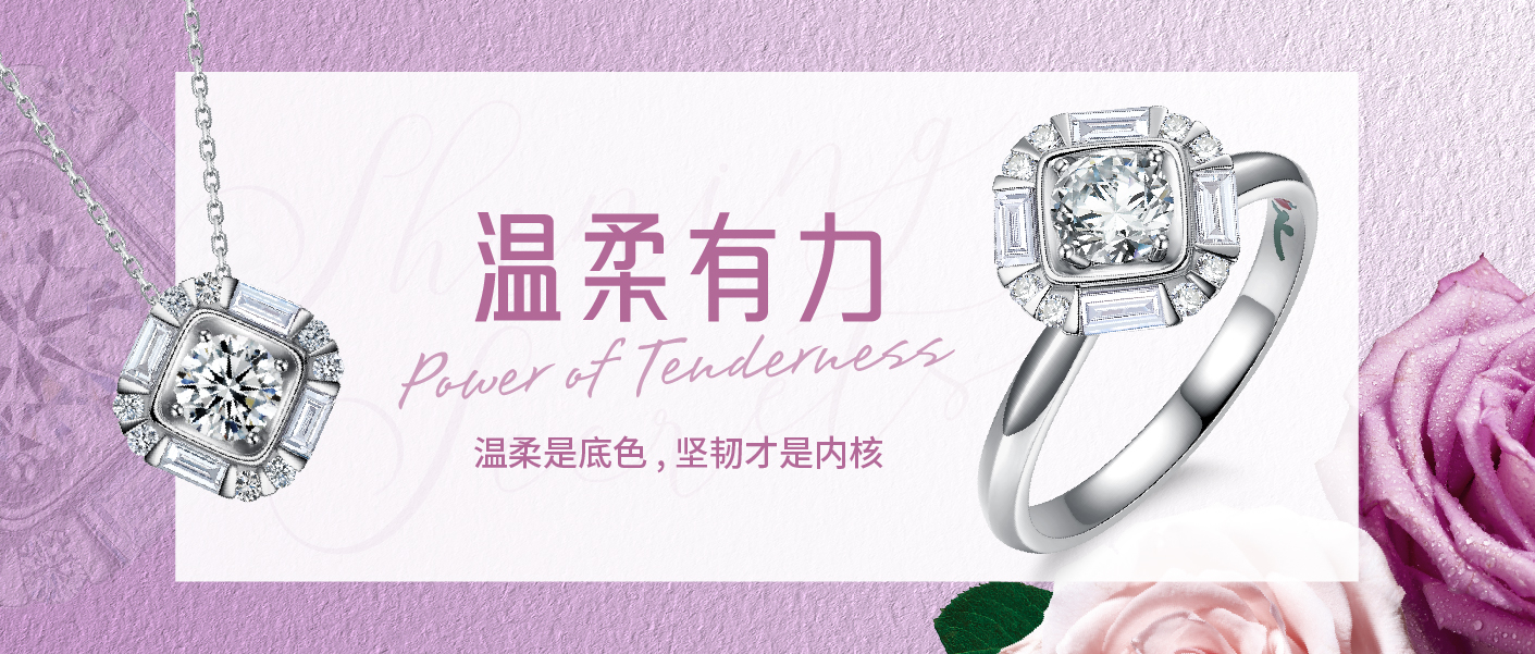 闪耀玫瑰Starry Rose｜温柔是底色，坚韧才是内核